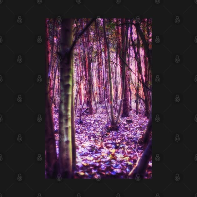 Enchanted Wood by InspiraImage