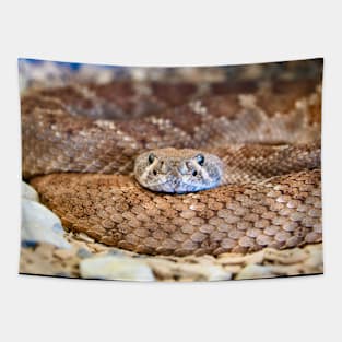 Snake VII / Swiss Artwork Photography Tapestry