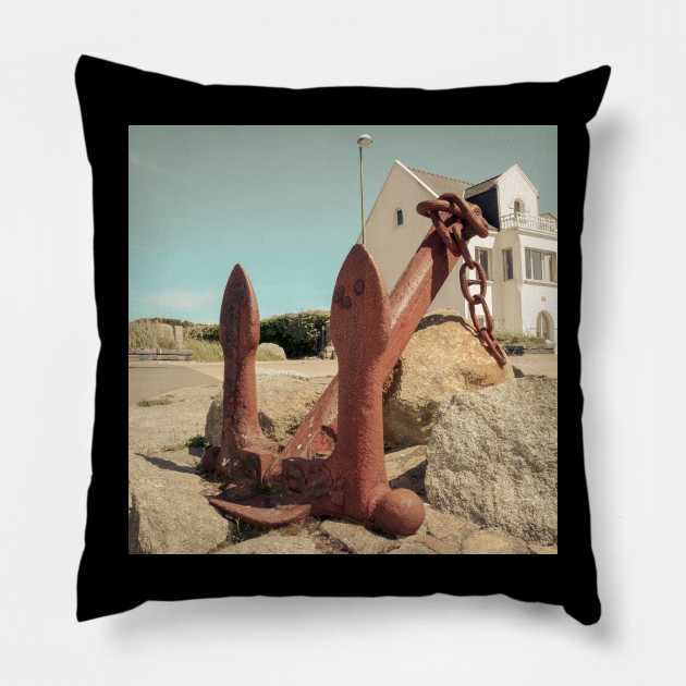 Grounded Pillow by Debra Cox 