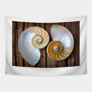 Two Chambered Nautilus Tapestry