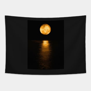 Full Moon - Landscape Tapestry