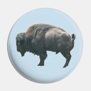 American bison Pin