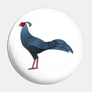 Siamese fireback bird cartoon illustration Pin