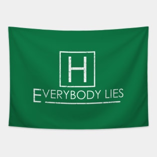 Everybody Lies // Dr House Tapestry