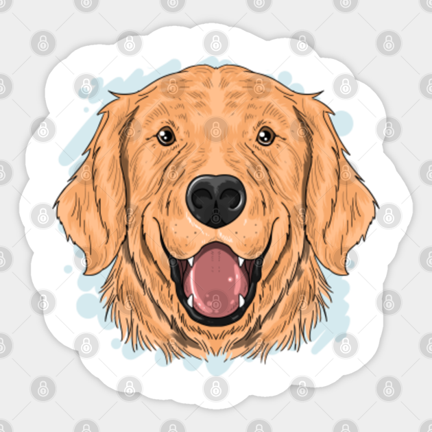 Golden Retriever Golden Retriever Sticker Teepublic