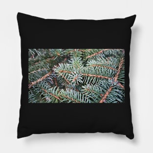 Pine Tree Chtistmas Winter Wallpaper Pillow