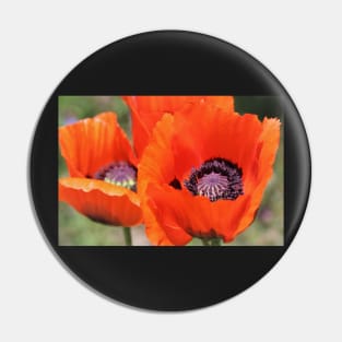 Red Poppies Pin