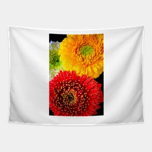 Three Colorful Daisies Tapestry