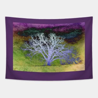 Lenten Moon Tapestry