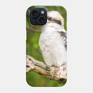 Laughing Kookaburra Phone Case