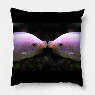 Give Me A Kiss - Kissing Fish Pillow