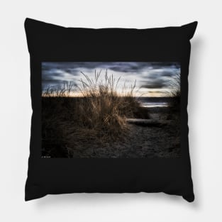 Evening Entrance Pillow