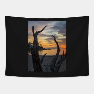 Driftwood Sunset Tapestry