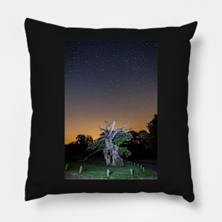 The 800 year old Laund Oak Tree and the night sky IMG-5844 RB Pillow