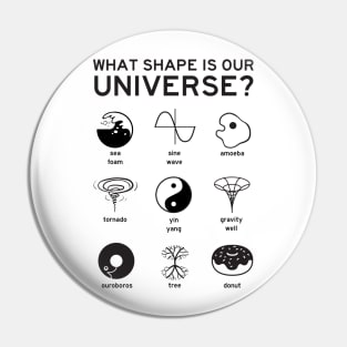 What Shape is Our Universe? Pin