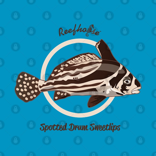 Spotted Drum Sweetlips by Reefhorse