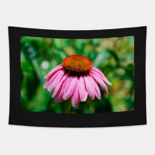 Echinacea Purpurea Tapestry