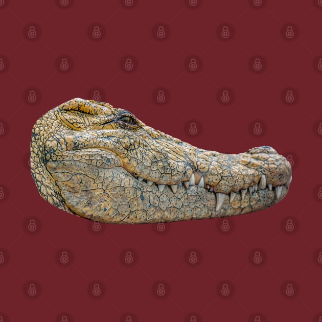 Alligator head by dalyndigaital2@gmail.com