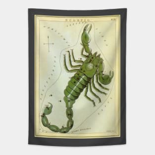 Scorpio the Scorpion, from Urania's Mirror, Vintage Signs of the Zodiac Tapestry