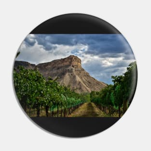 Colorado Wine Country Pin