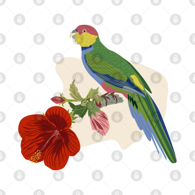 Parrot and Hibiscus by LizzyizzyDesign