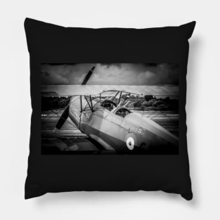 Take Flight Pillow