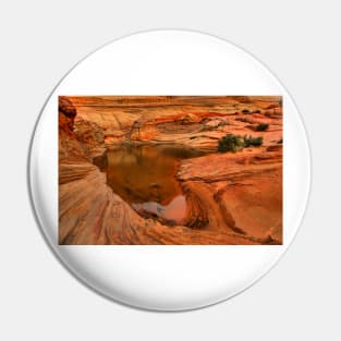 Northern Arizona Desert Oasis Pin