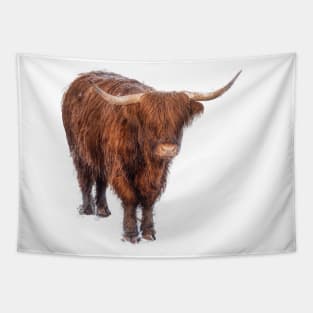 Highland Cow Tapestry