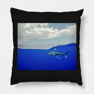 An Oceanic White Tip Shark Cruising Under the Clouds in the Bahamas Pillow