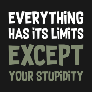 Everything has its limits, except your stupidity T-Shirt