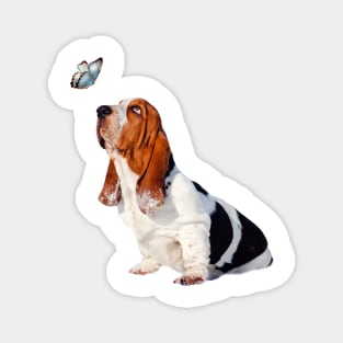 Butterfly Basset Magnet