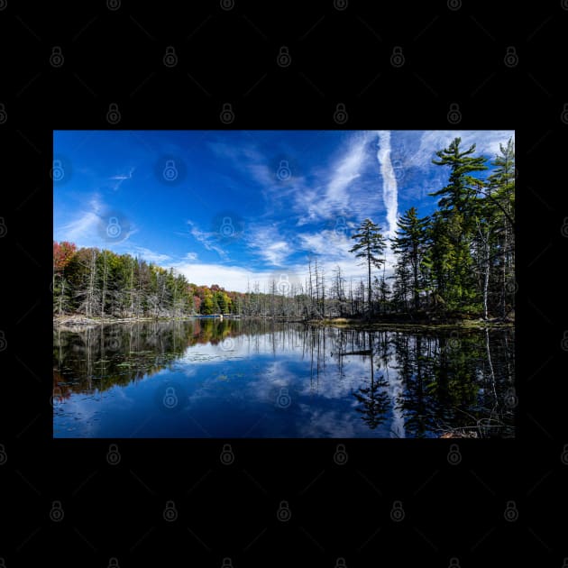 The Beaver Pond by ShootFirstNYC