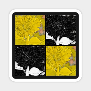 Black and Yellow Square Dahlias Magnet