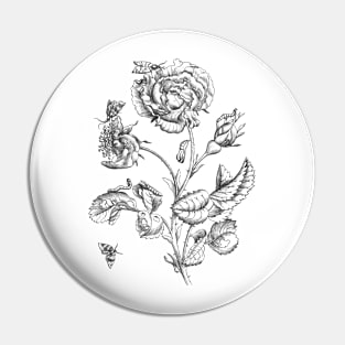 Rose Flower & Insects Antique Illustration Pin