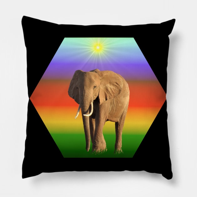 Elephant - Hexagram - Kenya / Africa Pillow by T-SHIRTS UND MEHR