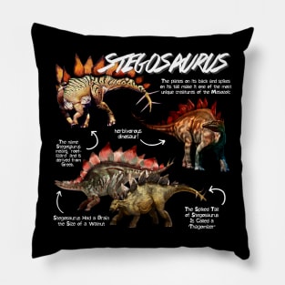 Stegosaurus Fun Facts Pillow