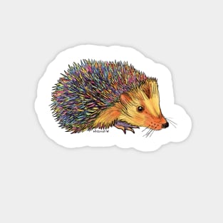 Rainbow Hedgehog-dark Magnet