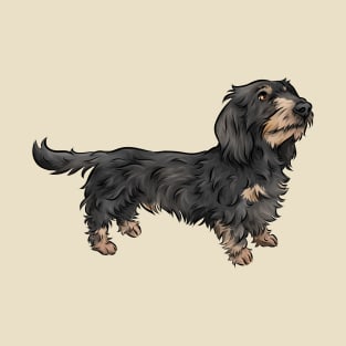 Wirehaired Dachshund | Black and Tan | Cute Dog Art T-Shirt