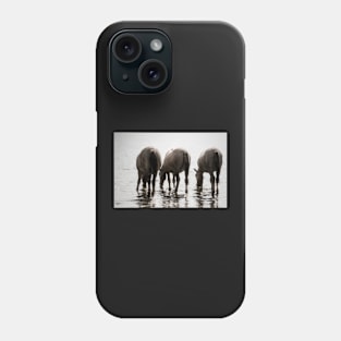 The taste of water Phone Case