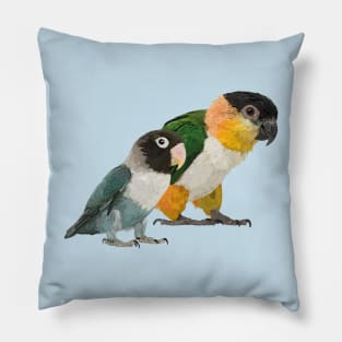 Caique and Agapornis Pillow
