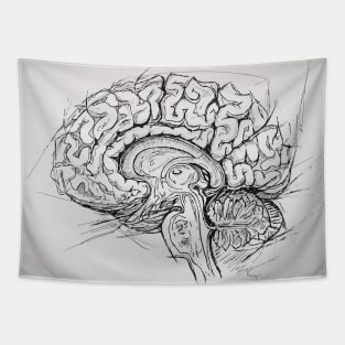 Brain Tapestry