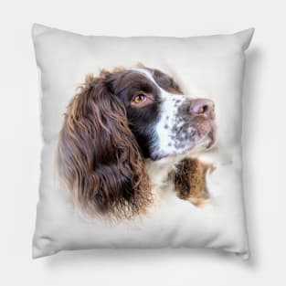 Cute ! Pillow