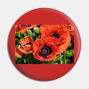 Blood Red Poppies Pin