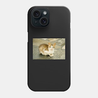 Blue-eyed cat Phone Case