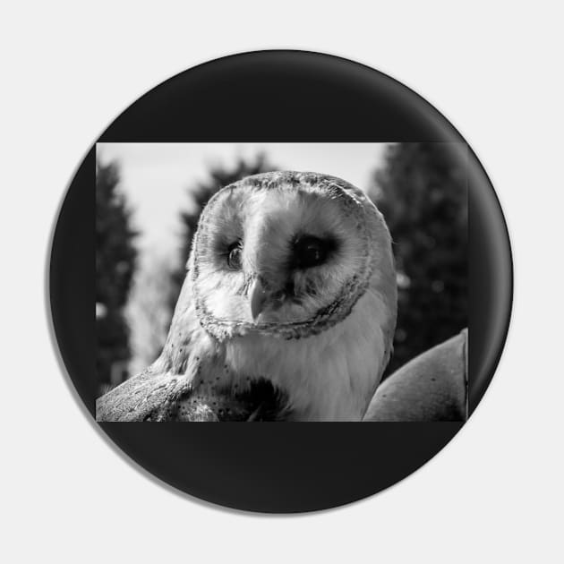 Barn Owl in Black and white Pin by bywhacky