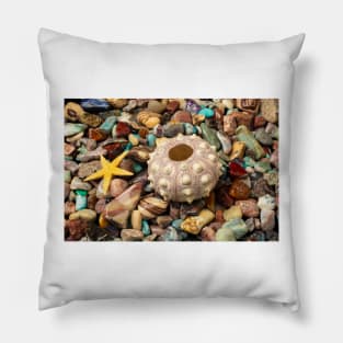 Sea Urchin On Colored Stones Pillow