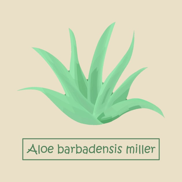 Aloe barbadensis miller by hedehede