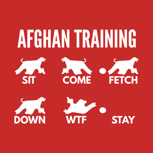 Afghan Hound Training Boxer Dog Tricks by DoggyStyles