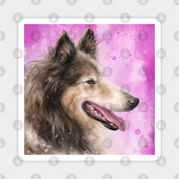 Painting of a Brown and White Furry Collie Dog Smiling Magnet by ibadishi