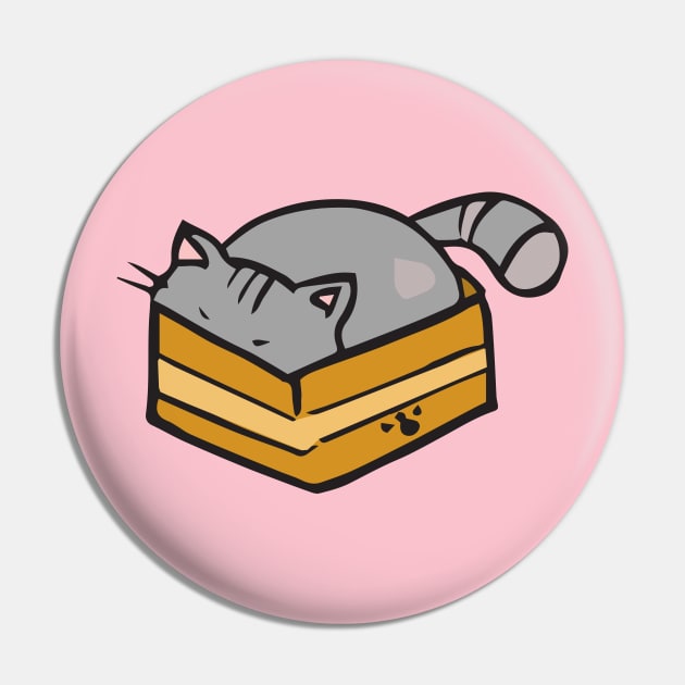 cat in a box Pin by amandachenlee